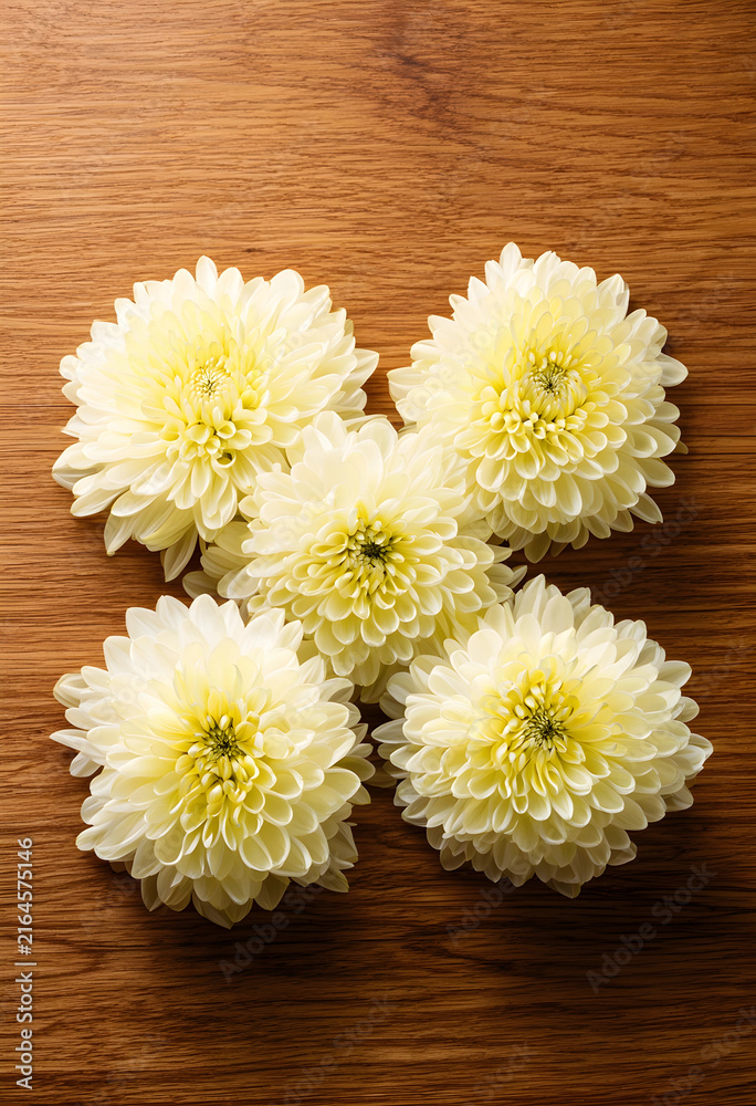 Fototapeta premium Floral arrangement and natural beauty, five yellow chrysanthemum flowers on a rustic wooden background, top view