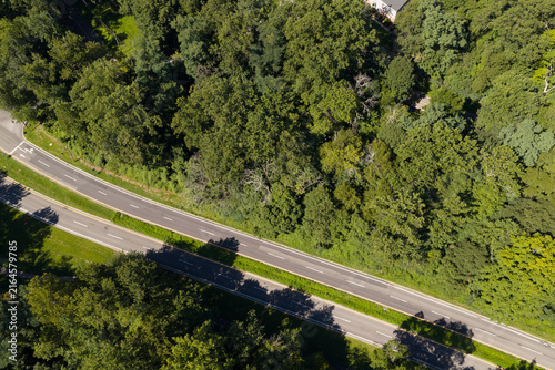Major road corridor cutting through dense woodland in White Plains, Westchester County, New York