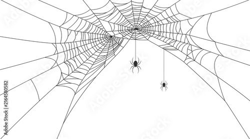 A high contrast black and white spider web illustration creating a spooky halloween background perfect for festive holiday designs and scary themed party invitation card