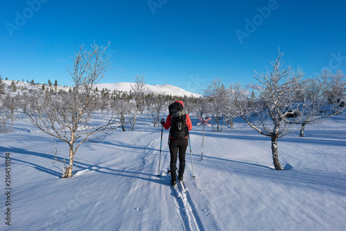 Rear view of female skier walking on snow covered land at remote location under blue sky