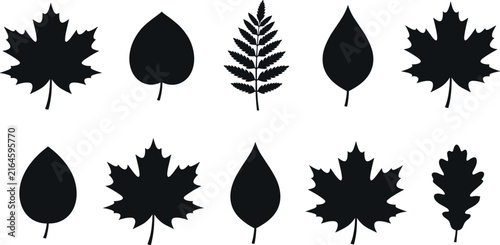 Leaf Silhouette Vector Set with Maple Oak Fern and Birch Foliage Elements Isolated on White Background for Autumn Seasonal Graphic Designs