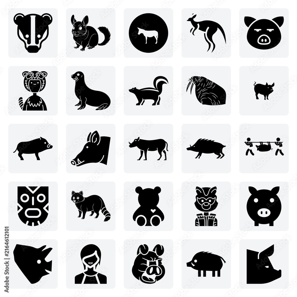Obraz premium Illustrations Of Global Animals – Chinchilla, Kangaroo, And Wild Boar Representing Fauna From Different Parts Of The World.