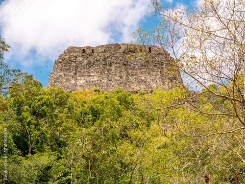 Ancient Maya Temple Ruin Emerging from Jungle at Tikal, Guatemala
