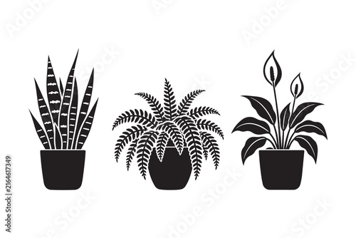 Set of three black silhouette potted house plants
