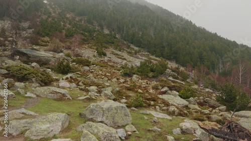 Rainy mountain slope in Sant Maurici National Park, Catalonia, Spain.
