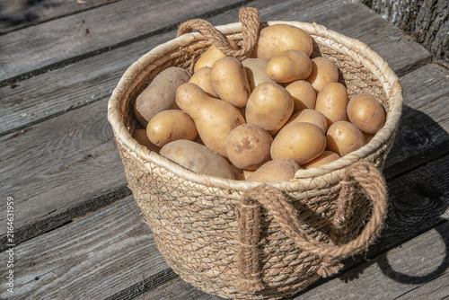 Top view of fresh potatoes piled in a rustic woven basket on weathered wooden boards.