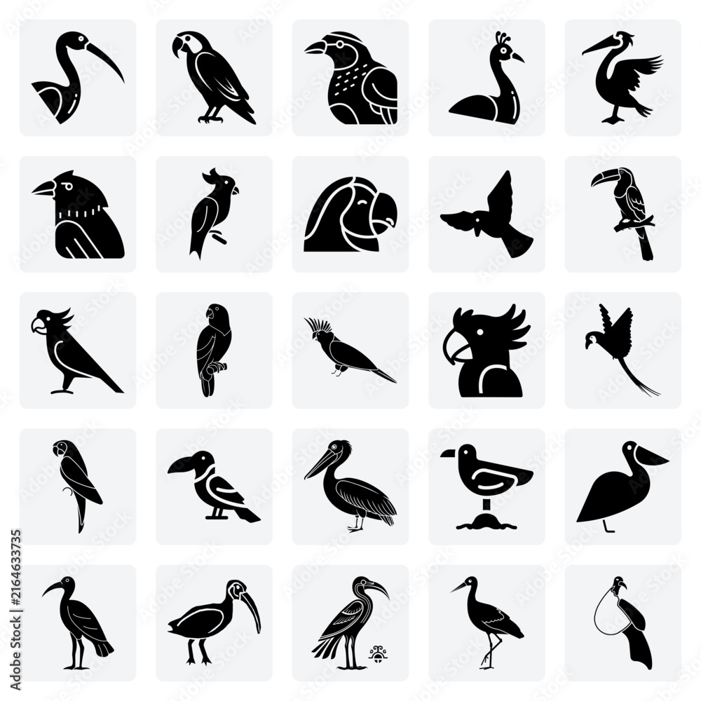Obraz premium Symbolic And Majestic Birds – The Raven, Peacock, And Ibis For Cultural, Mythological, And Thematic Illustrations.