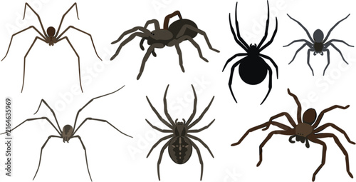 Foto Vector collection of realistic creepy spider icons including tarantula widow and