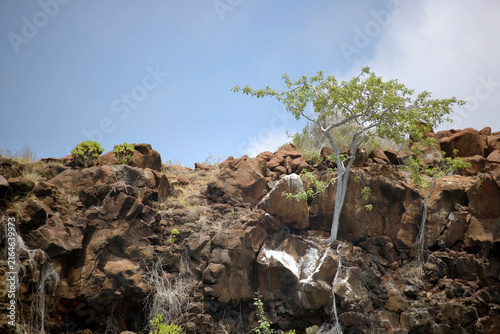 Coastline of the island of Santa Cruz in the Galapagos Archipelago Pacific Ocean Ecuador