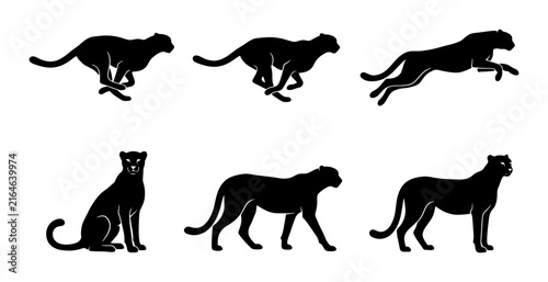 Cheetah Silhouette Set: Dynamic Poses of Running, Jumping, and Sitting Big Cat Vector Illustrations for Wildlife and Speed Concepts
