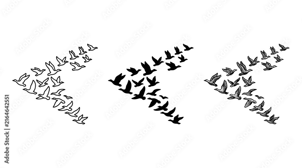 Fototapeta premium Three V-Formation Bird Flocks in Outline, Solid, and Sketch Styles
