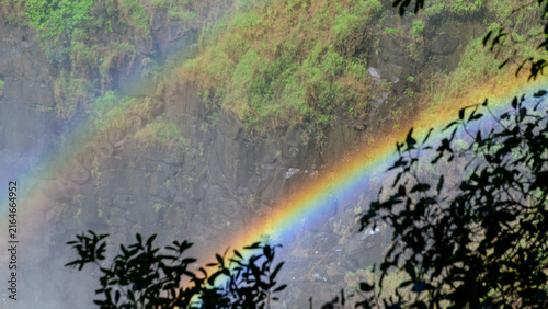 rainbow in the rain