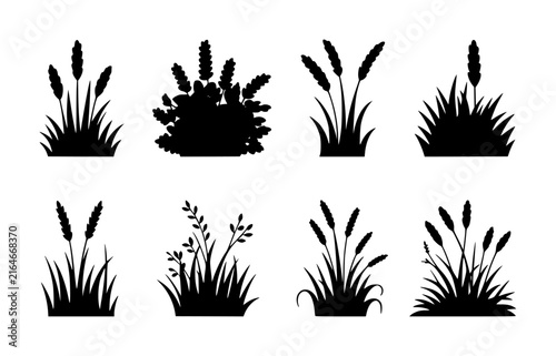 Set of black silhouettes of various wild grasses, reeds, and meadow plants isolated on a white background