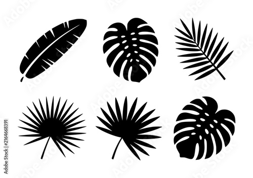 Set of black tropical leaf silhouettes featuring monstera, palm, and banana leaves for botanical projects