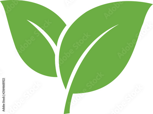 Green Leaf Vector Icon Isolated on White Background for Eco Friendly Design