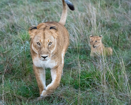 Momma and Little One