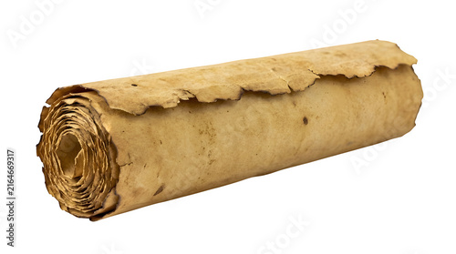 Aged parchment scroll, antique paper document rolled up, vintage manuscript for historical or fantasy themes, ancient papyrus texture on white background.