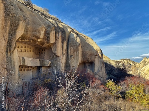 Obraz na plátně Ancient pigeon houses carved into volcanic tuff cliffs surrounded by dry autumn vegetation in Cappadocia, Turkey