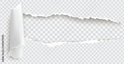 Paper roll reveal with paper strip with tear edges cutout. Torn paper with realistic rip effect and ragged edge on white background.
