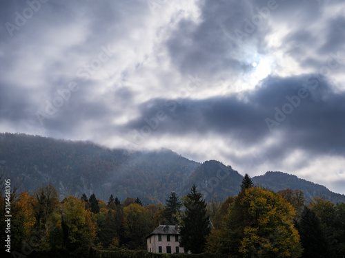 Moody Chartreuse Mountain Landscape With Autumn Forest