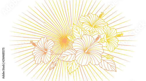 Hibiscus flower vector illustration with sunburst rays in vintage engraved line art style