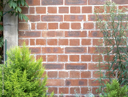 Konstfotografi Red Brick Garden Wall Framed by Green Shrubs and Wildplants
