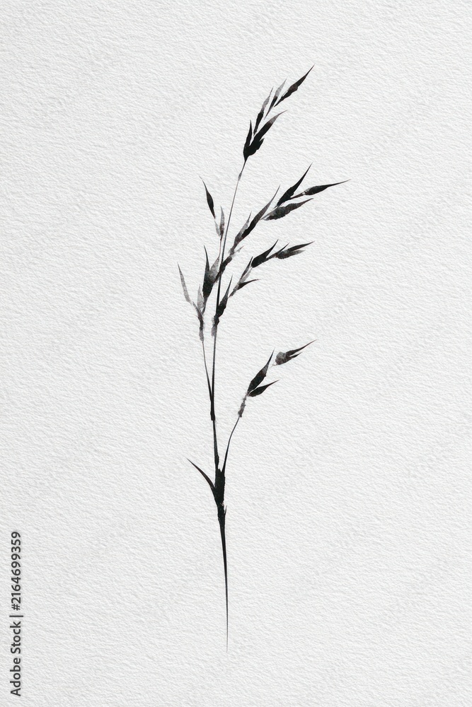 Fototapeta premium Minimalist black ink illustration of a single grass stem on white paper.