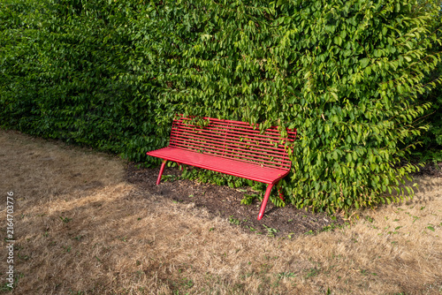 Solitary red bench placed beside a dense, green hedge