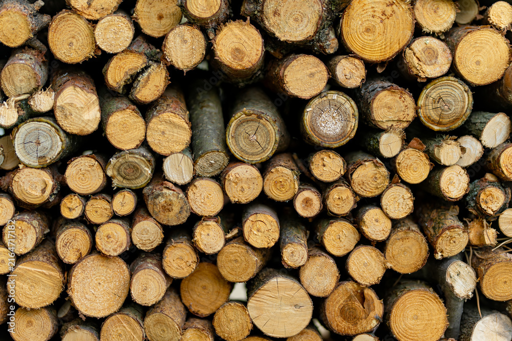 Fototapeta premium Stack of freshly cut logs showing natural wood grain and growth rings. Rustic firewood background with rough bark and varied timber textures.