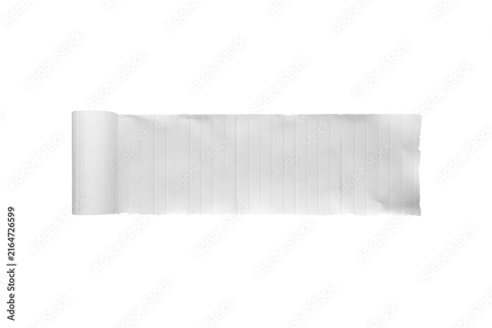Fototapeta premium White torn paper strip with textured edges