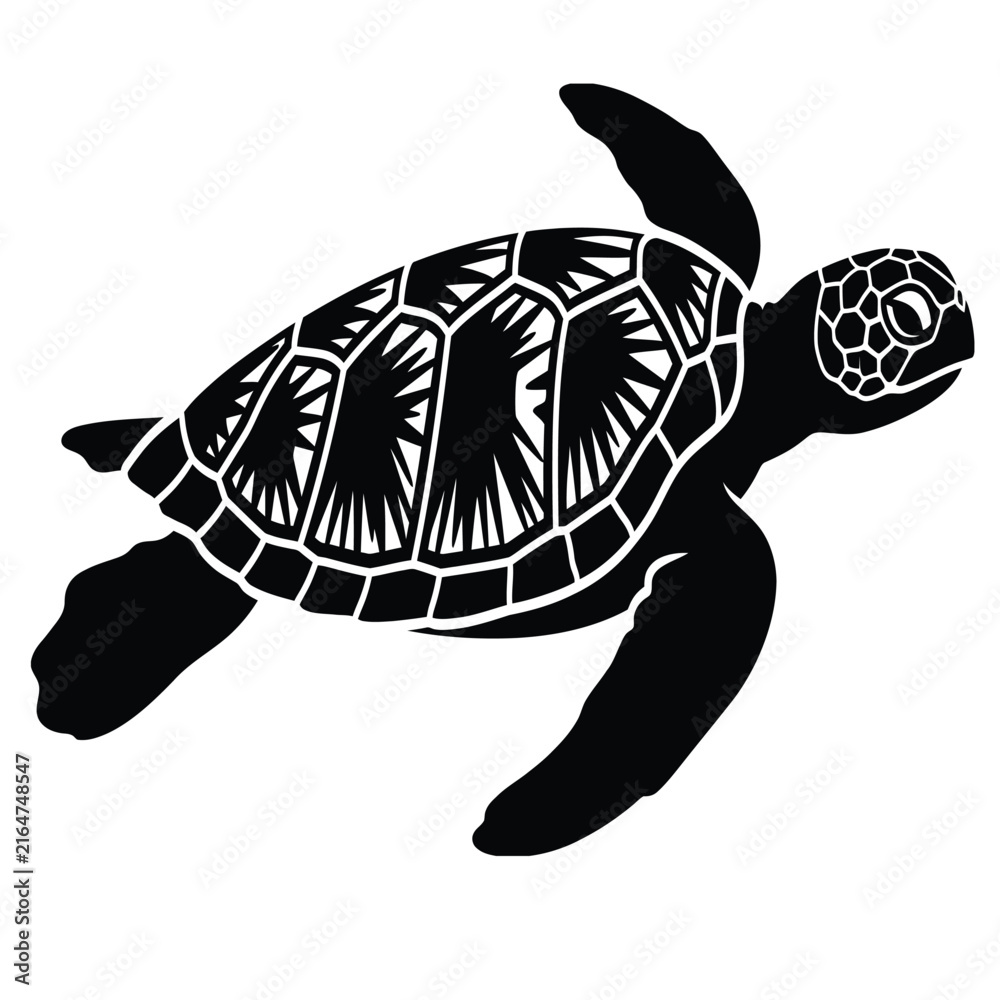 Fototapeta premium Detailed sea turtle vector illustration lsolated on white background