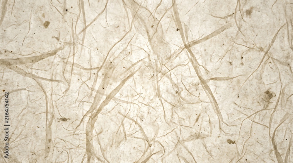 Fototapeta premium Closeup of handmade mulberry paper texture with natural fiber strands