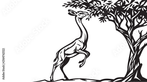 Photography Line art giraffe eating leaves from a tree
