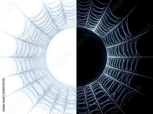 Intricate Spider Web Patterns Showing Detailed Natural Symmetry and Structure Against Light Background