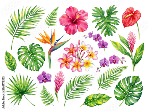 Watercolor Tropical Flowers and Palm Leaves Set Isolated on White Background