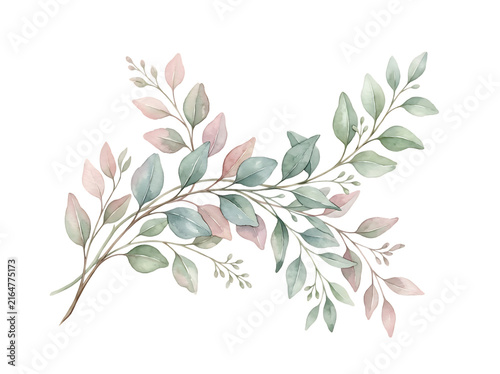 Watercolor botanical branch with soft green and pink leaves isolated on white background