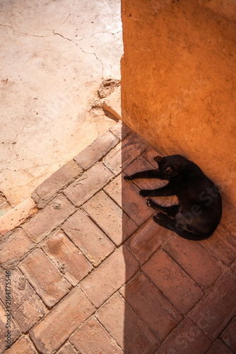 Marrakech Maroc