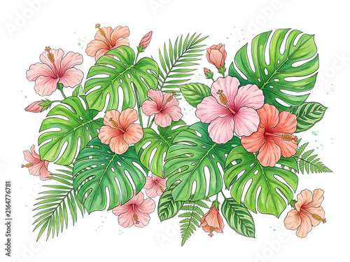 Watercolor tropical hibiscus flowers and monstera leaves arrangement on white background