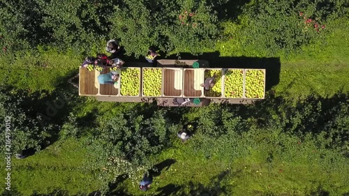 Smooth takeoff above apple sorting workers
