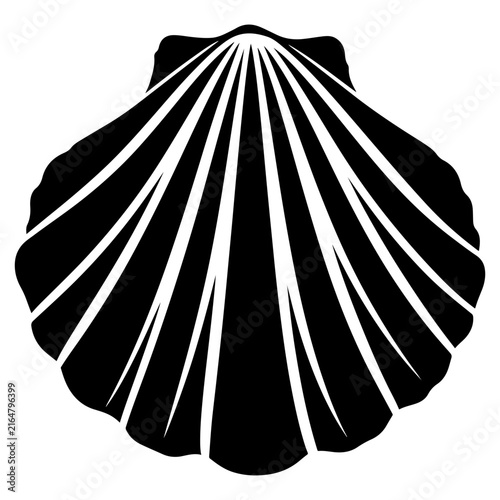 vector illustration of a seashell 