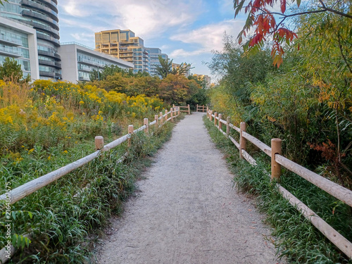 Autumn Walk in Etobicoke