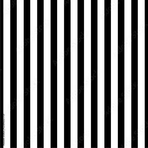Stripes Seamless Pattern Vector With Black and White Color 