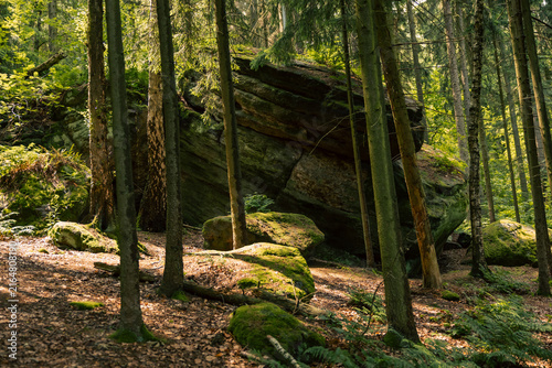 Quadro su tela Mystischer Wald mit großen, moosbewachsenen Felsblöcken im warmen Sonnenlicht, umgeben von schlanken Nadel- und Laubbäumen