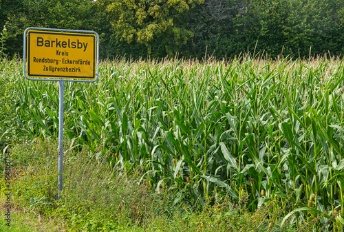 Картината върху платно Barkelsby town entrance sign next to a cornfield, Schwansen