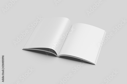 Blank Book White