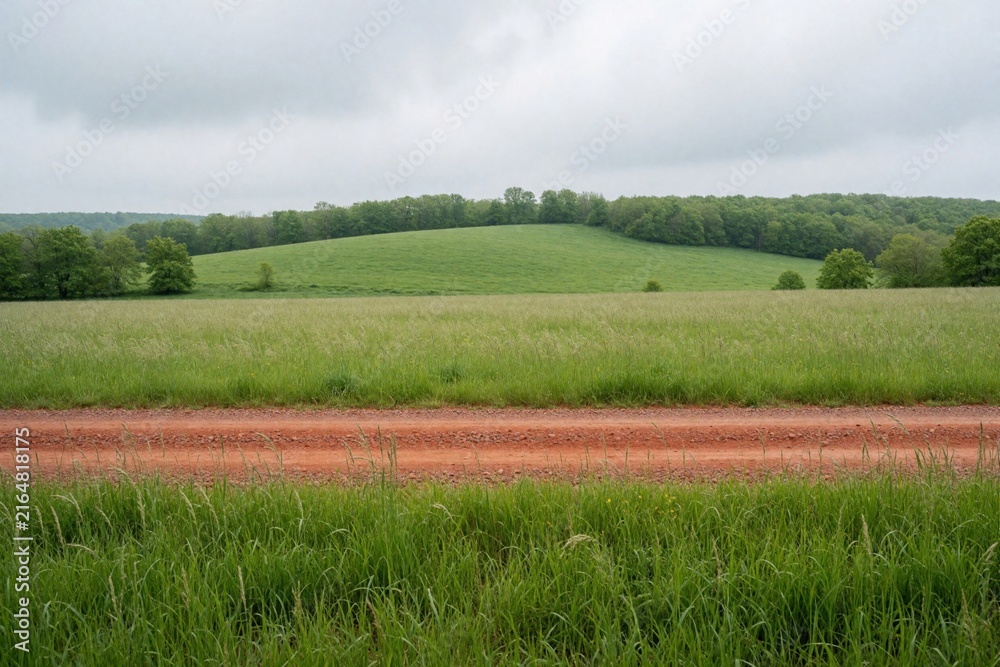 Obraz premium Red dirt path cuts through lush green grass field. Rolling hills and trees dot the horizon under a cloudy sky. Peaceful rural landscape awaits discovery.