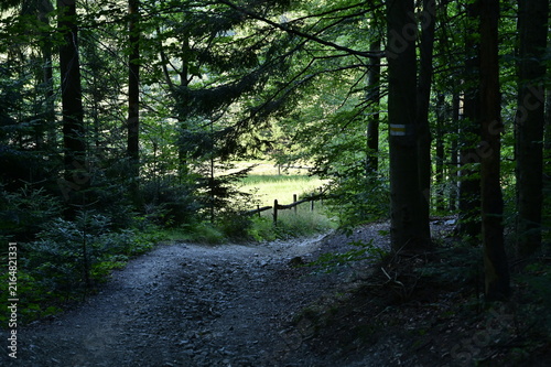 Quadro su tela Beskid wyspowy