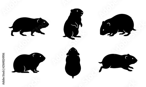 Hamster Silhouette Collection, Cute Rodent Poses, Vector Graphics for Pet Lovers and Wildlife Designs