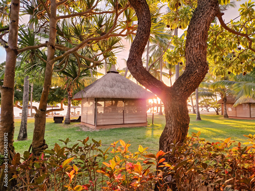 Tropical Resort Garden at Sunset in Mauritius