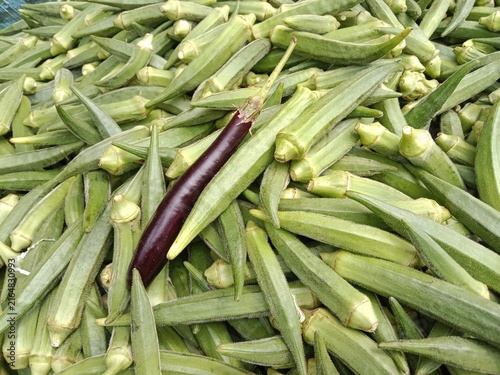 Fresh green okra pods piled at a vegetable market, displaying natural ridged textures and tapered shapes, with one contrasting purple okra pod adding visual interest to the harvest.